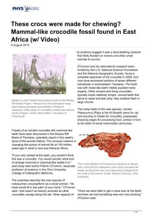 These Crocs Were Made for Chewing? Mammal-Like Crocodile Fossil Found in East Africa (W/ Video) 4 August 2010