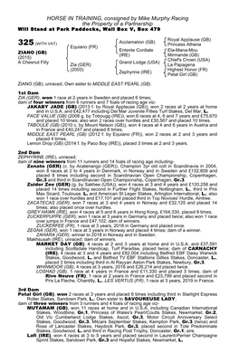 HORSE in TRAINING, Consigned by Mike Murphy Racing the Property of a Partnership Will Stand at Park Paddocks, Wall Box V, Box 479