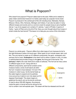 What Is Popcorn?