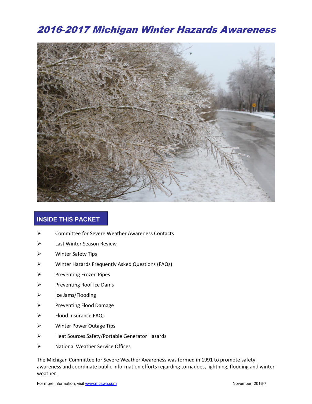 2016-2017 Michigan Winter Hazards Awareness