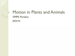 Motion in Plants and Animals SMPK Penabur Jakarta Motion