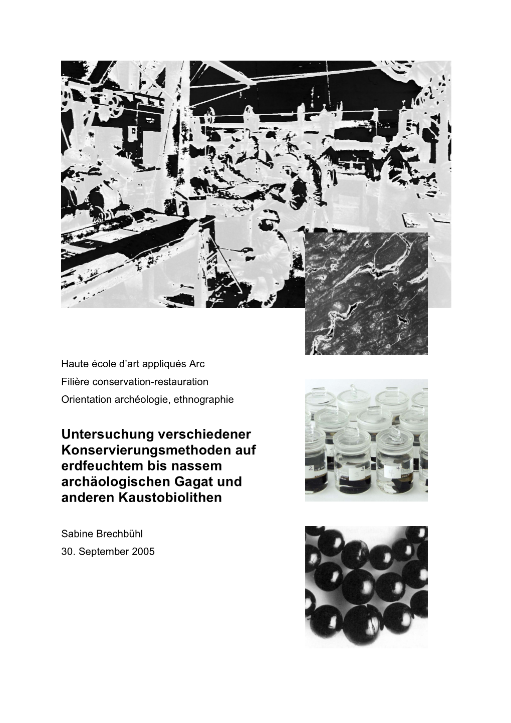 Untersuchung Verschiedener Konservierungsmethoden Auf Erdfeuchtem Bis Nassem Archäologischen Gagat Und Anderen Kaustobiolithen