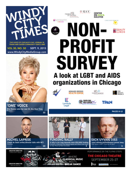A Look at LGBT and AIDS Organizations in Chicago