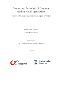 Geometrical Formalism of Quantum Mechanics and Applications Tensor Dynamics in Markovian Open Systems