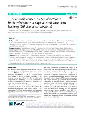 Tuberculosis Caused by Mycobacterium Bovis Infection in A