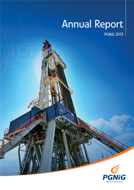 Annual Report Pgnig 2013