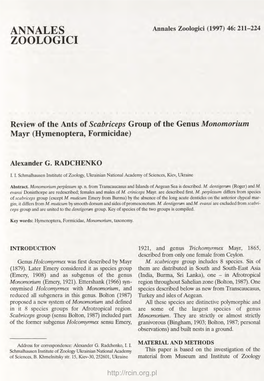 Review of the Ants of Scabriceps Group of the Genus Monomorium Mayr (Hymenoptera, Formicidae)