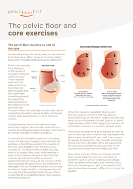 The Pelvic Floor and Core Exercises