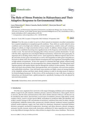 The Role of Stress Proteins in Haloarchaea and Their Adaptive Response to Environmental Shifts