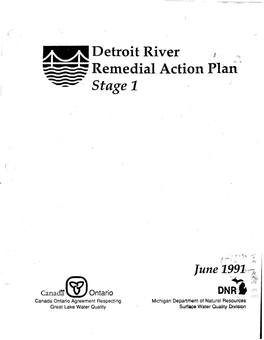 Detroit River Remedial Action Plan Stage 1