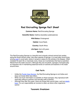 Red Encrusting Sponge Fact Sheet