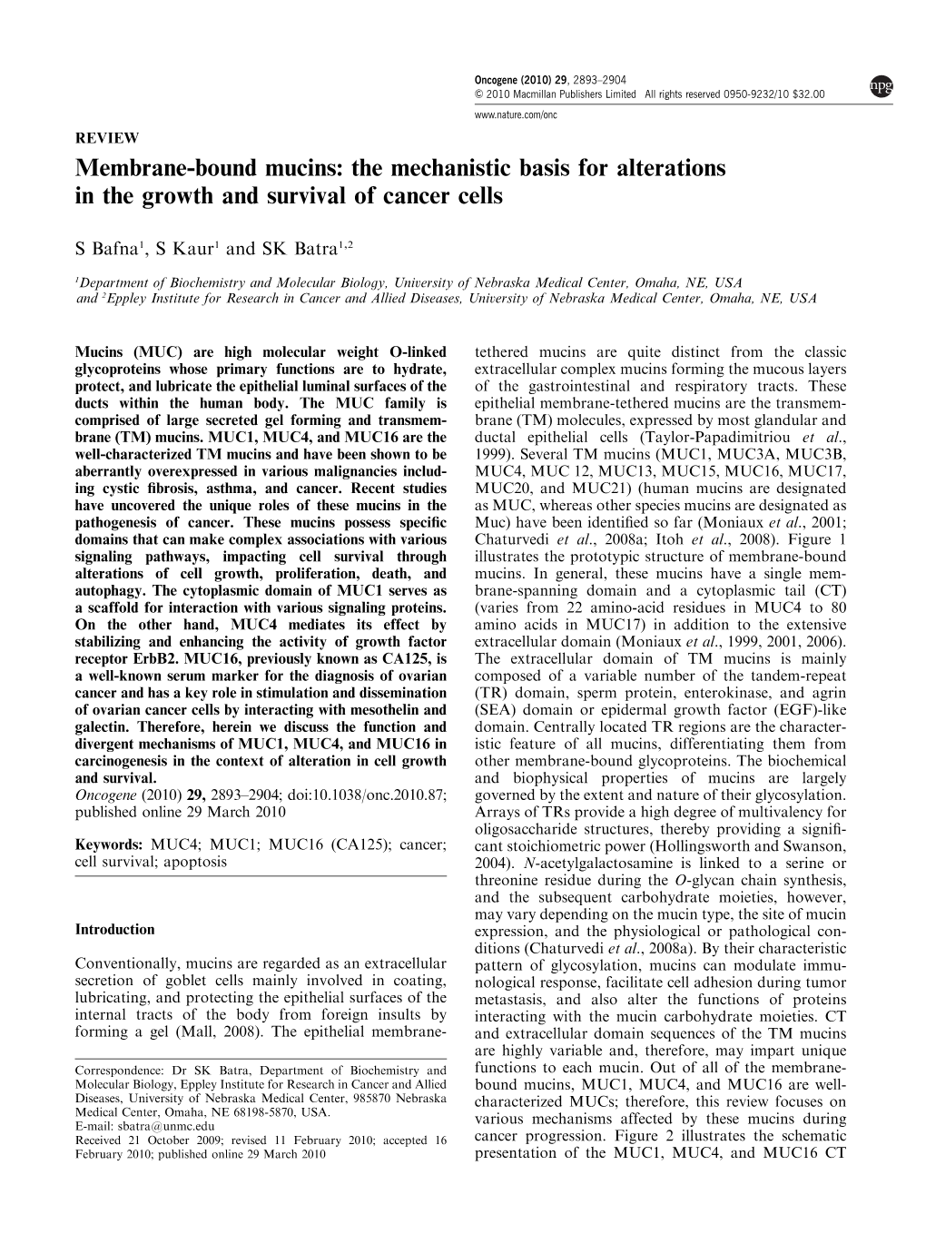 Membrane-Bound Mucins: the Mechanistic Basis for Alterations in the Growth and Survival of Cancer Cells