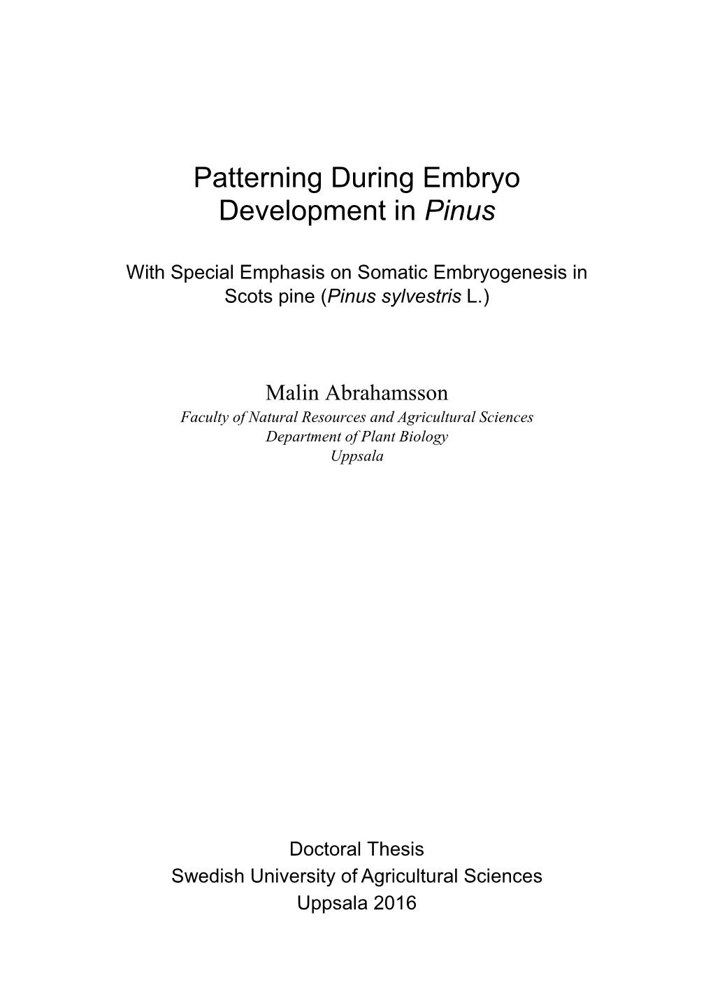 Patterning During Embryo Development in Pinus