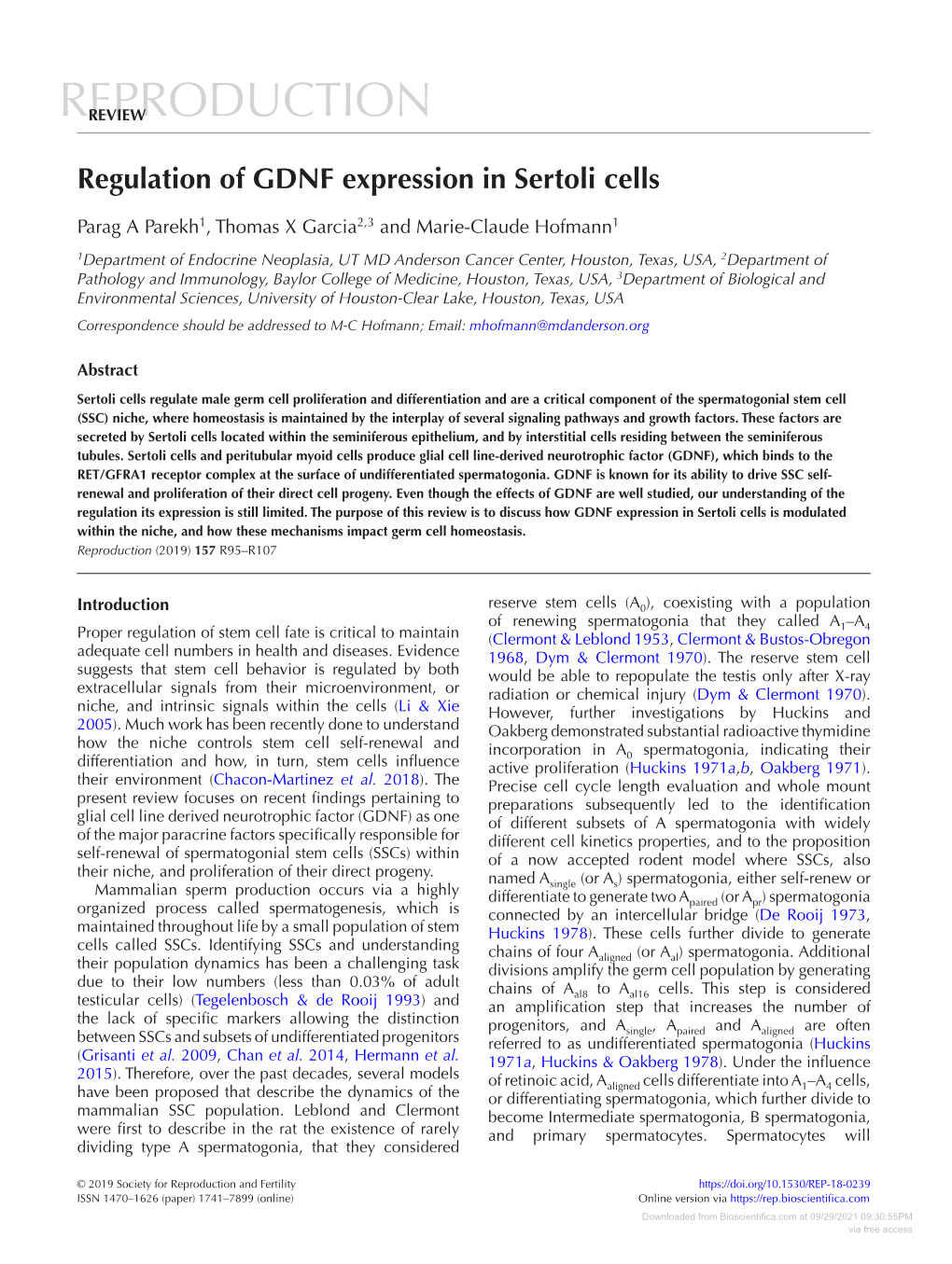 Regulation of GDNF Expression in Sertoli Cells