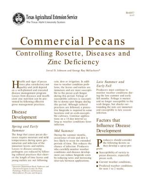 Commercial Pecans Controlling Rosette, Diseases and Zinc Deficiency
