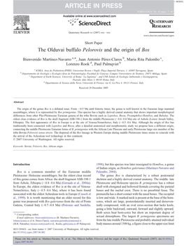 Olduvai Buffalo Pelorovis and the Origin of Bos ⁎ Bienvenido Martínez-Navarro A, , Juan Antonio Pérez-Claros B, Maria Rita Palombo C, Lorenzo Rook D, Paul Palmqvist B