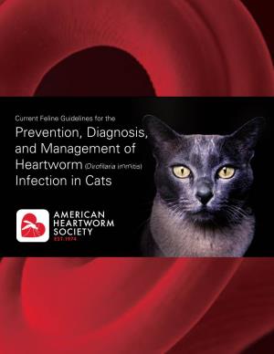 Prevention, Diagnosis, and Management of Infection in Cats