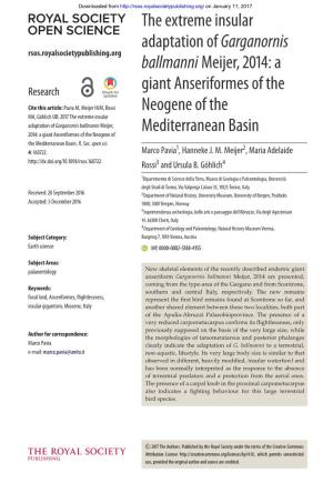 A Giant Anseriformes of the Neogene of The