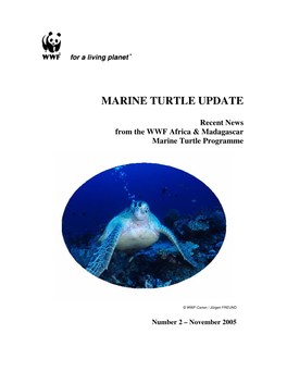 Marine Turtle Update