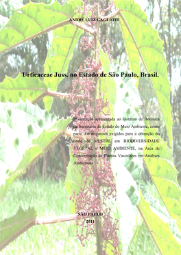Urticaceae Juss. No Estado De São Paulo, Brasil