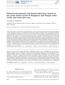Palaeoenvironmental and Faunal Inferences Based on the Avian Fossil Record of Patagonia and Pampa: What Works and What Does Not