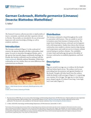 German Cockroach, Blattella Germanica (Linnaeus) (Insecta: Blattodea: Blattellidae)1 S