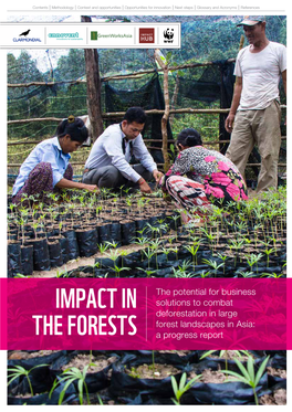Impact in the Forests