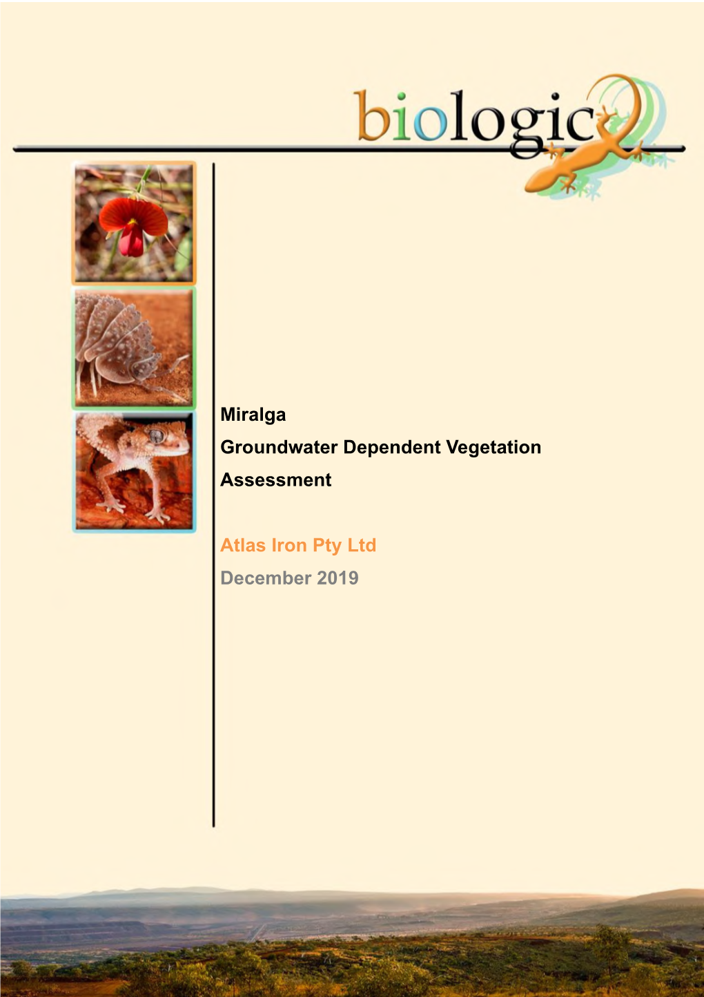 GDV Field Assessment.Pdf