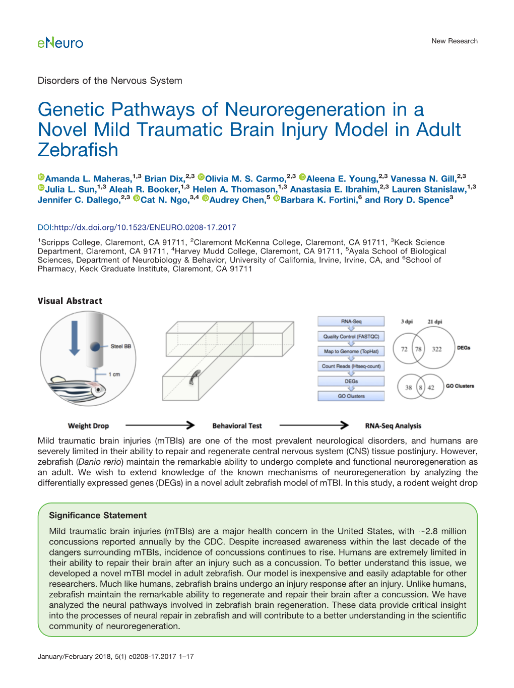 Genetic Pathways of Neuroregeneration in a Novel Mild Traumatic Brain Injury Model in Adult Zebrafish