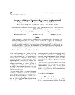 Comparative Efficacy of Kanamycin, Enrofloxacin, Moxifloxacin and Cefoperazone for the Treatment of Pneumonia in Buffaloes