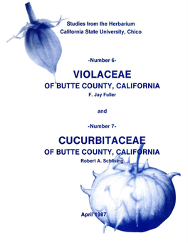 Violaceae and Cucurbitaceae