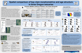Spatial Comparison of Bay Clam Morphometrics and Age Structure in Three Oregon Estuaries
