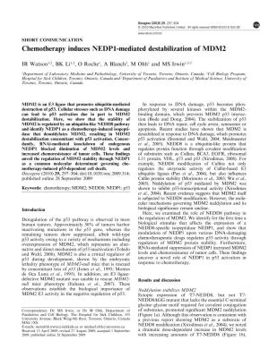 Chemotherapy Induces NEDP1-Mediated Destabilization of MDM2