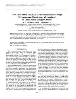 New Finds of the Fossil Ant Genus Prionomyrmex Mayr (Hymenoptera, Formicidae, Myrmeciinae) in Late Eocene European Amber A