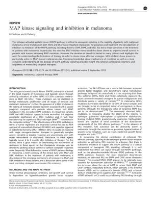 MAP Kinase Signaling and Inhibition in Melanoma