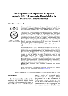 On the Presence of a Species of Batophora J. Agardh, 1854 (Chlorophyta: Dasycladales) in Formentera, Balearic Islands