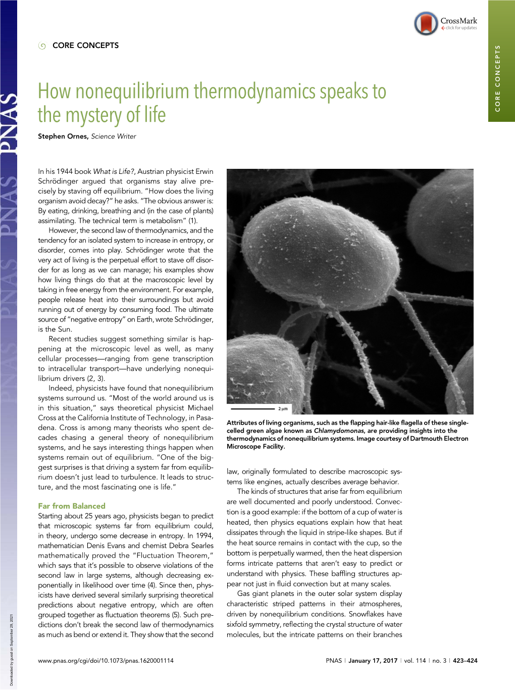 How Nonequilibrium Thermodynamics Speaks to the Mystery of Life