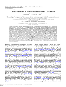 Genomic Signature of an Avian Lilliput Effect Across the K-Pg Extinction