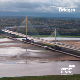 Bridges Extensive Experience on Bridges