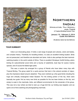 Northern India: Himalayas, Taj Mahal, and Tiger a Tropical Birding Custom Tour