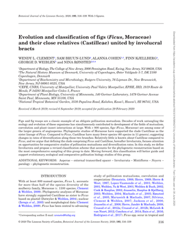Evolution and Classification of Figs (Ficus, Moraceae) and Their Close Relatives (Castilleae) United by Involucral Bracts