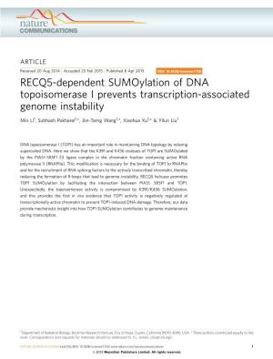 RECQ5-Dependent Sumoylation of DNA Topoisomerase I Prevents Transcription-Associated Genome Instability