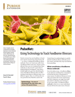 Pulsenet: Depicting Red-Colored Salmonella Bacteria Invading a Mustard- Colored, Ruffled Immune Cell