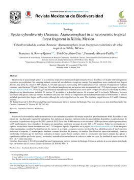 Spider Cyberdiversity (Araneae: Araneomorphae) in an Ecotouristic Tropical Forest Fragment in Xilitla, Mexico