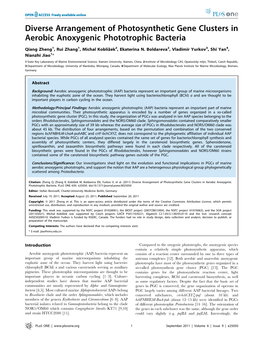 Diverse Arrangement of Photosynthetic Gene Clusters in Aerobic Anoxygenic Phototrophic Bacteria