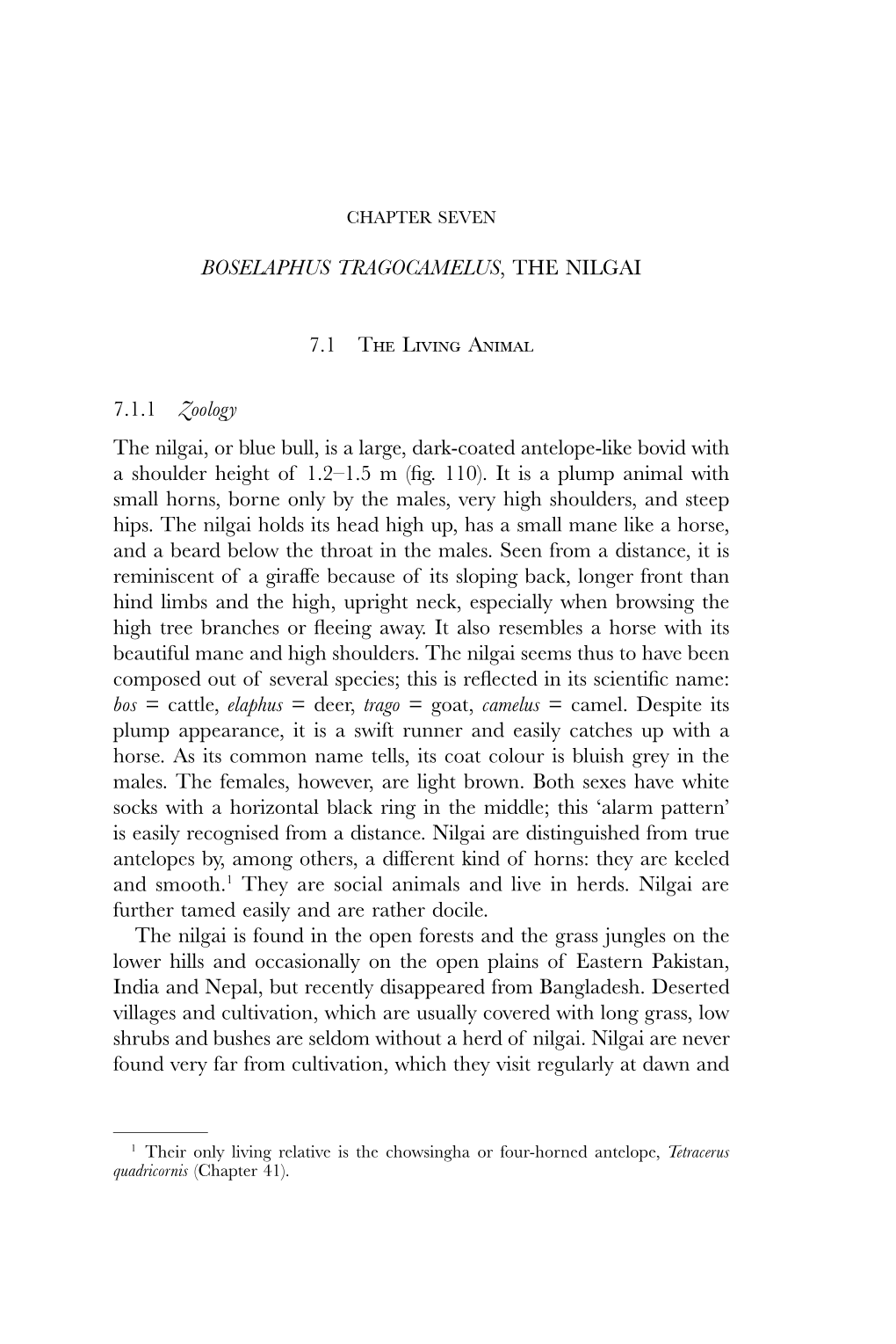 BOSELAPHUS TRAGOCAMELUS, the NILGAI 7.1 the Living Animal