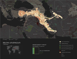 Irano-Anatolian