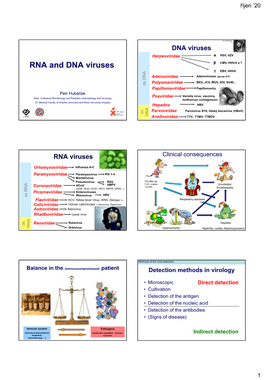 DNA Viruses Herpesviridae  HSV, VZV RNA and DNA Viruses  CMV, HHV-6 a 7  EBV, HHV8 Adenoviridae Adenoviruses (Group A-F)
