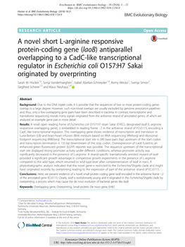A Novel Short L-Arginine Responsive Protein-Coding Gene (Laob)