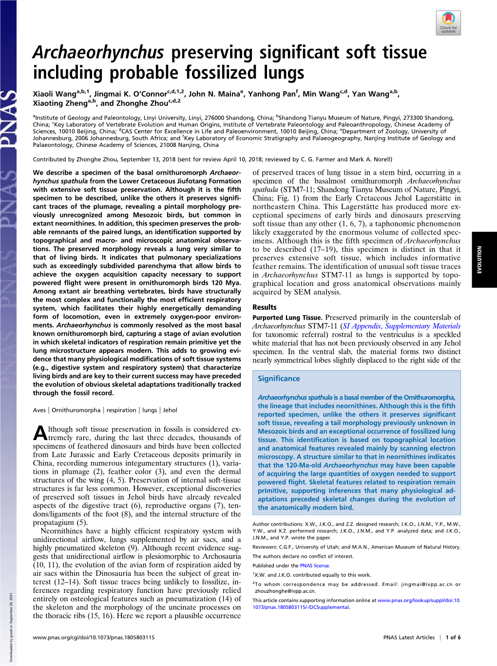 Archaeorhynchus Preserving Significant Soft Tissue Including Probable Fossilized Lungs